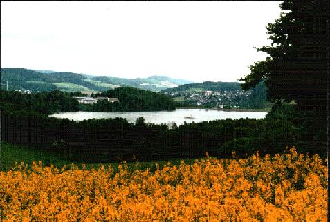 Hennesee bei Meschede im Sauerland