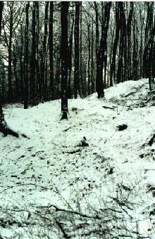 Gelände des ehemaligen Bergbaugebietes Eiserkaulen bei Eversberg